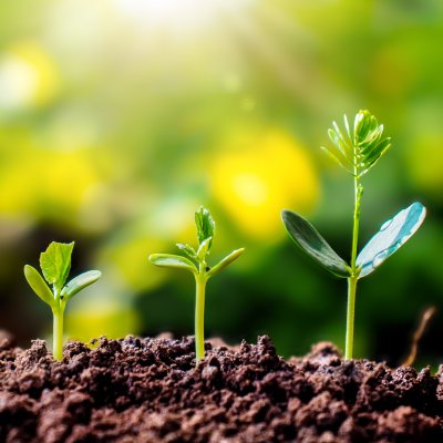 l'univers thématique des produits durables